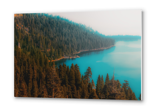 Pine tree and lake view at Emerald Bay Lake Tahoe California USA Metal prints by Timmy333