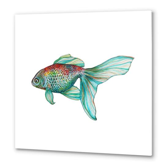 Fish Metal prints by Nika_Akin