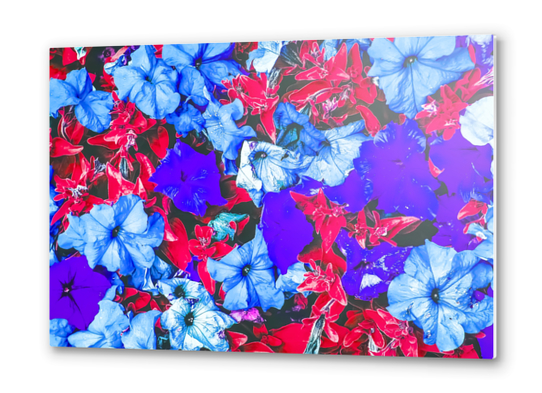 closeup flower texture abstract in blue purple red Metal prints by Timmy333