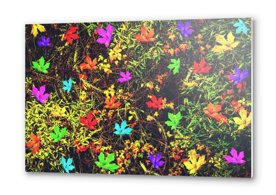 maple leaf in blue red green yellow pink orange with green creepers plants background Metal prints by Timmy333