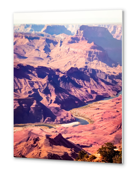 closeup desert at Grand Canyon national park, USA Metal prints by Timmy333