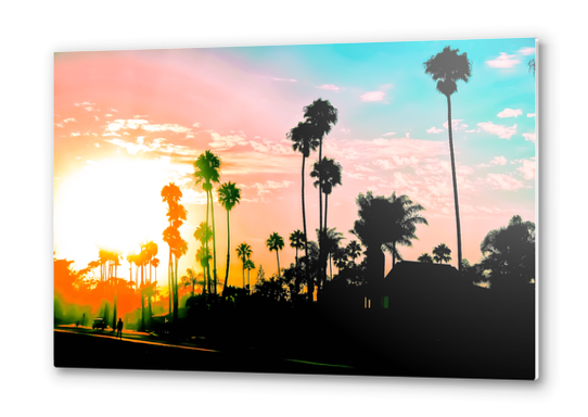 beach summer sunset with palm tree and blue sky Metal prints by Timmy333