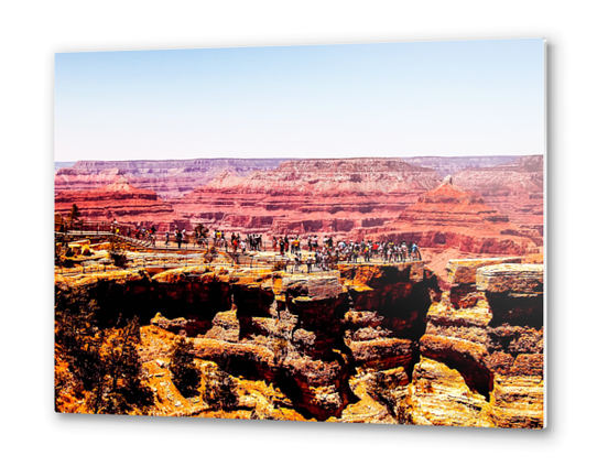 Desert in summer at Grand Canyon national park, USA Metal prints by Timmy333