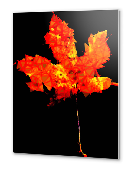 orange and yellow geometric polygon maple leaf abstract with black background Metal prints by Timmy333