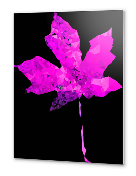 pink geometric polygon maple leaf abstract pattern with black background Metal prints by Timmy333