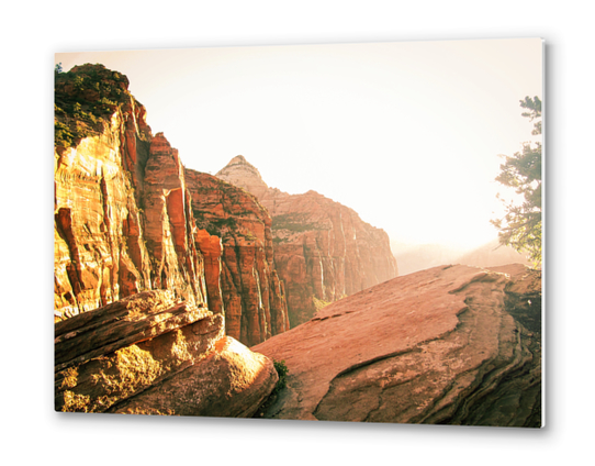 mountain at Zion national park, USA Metal prints by Timmy333