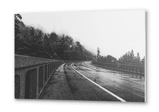 bridge in the forest in black and white Metal prints by Timmy333