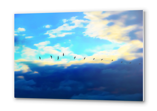 birds flying over with blue cloudy sky Metal prints by Timmy333