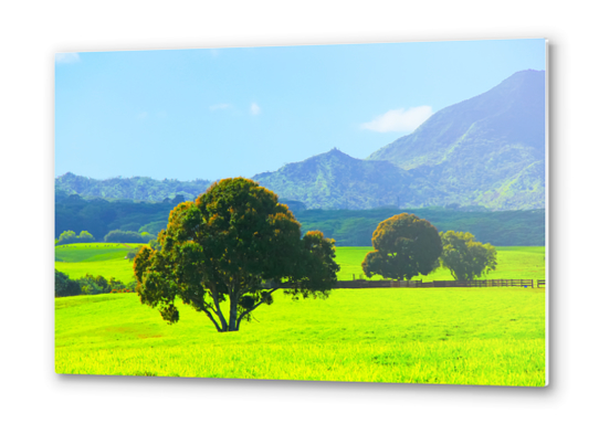 green tree in the green field with green mountain and blue sky background Metal prints by Timmy333