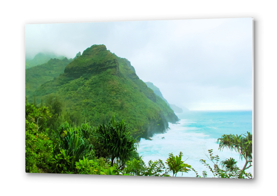 green mountain with blue ocean view at Kauai, Hawaii, USA Metal prints by Timmy333