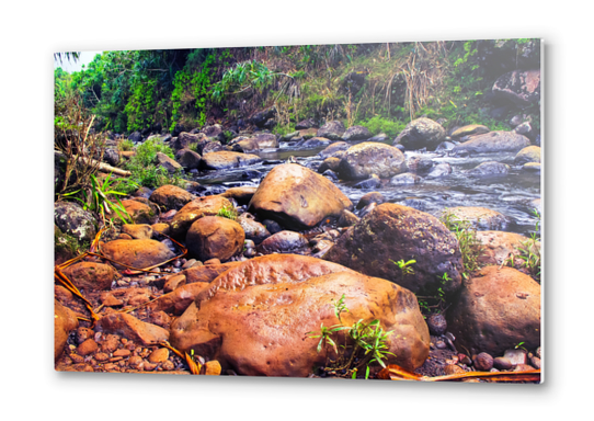 river in the forest with green tree and rock and stone Metal prints by Timmy333