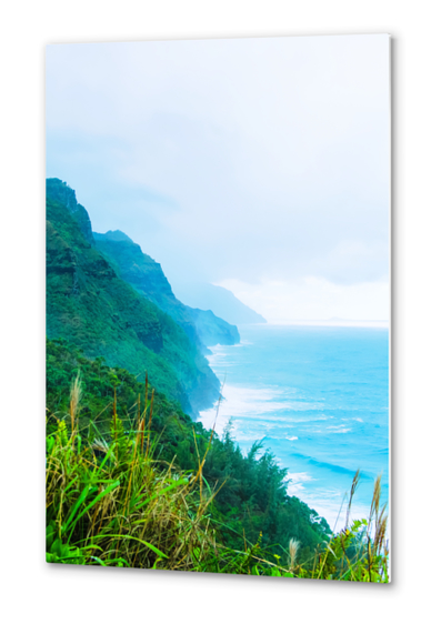 green mountain and ocean view at Kauai, Hawaii, USA Metal prints by Timmy333