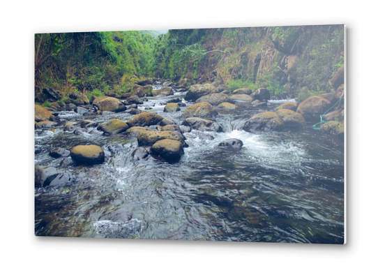 river and rock in the forest with green tree at Kauai, Hawaii Metal prints by Timmy333