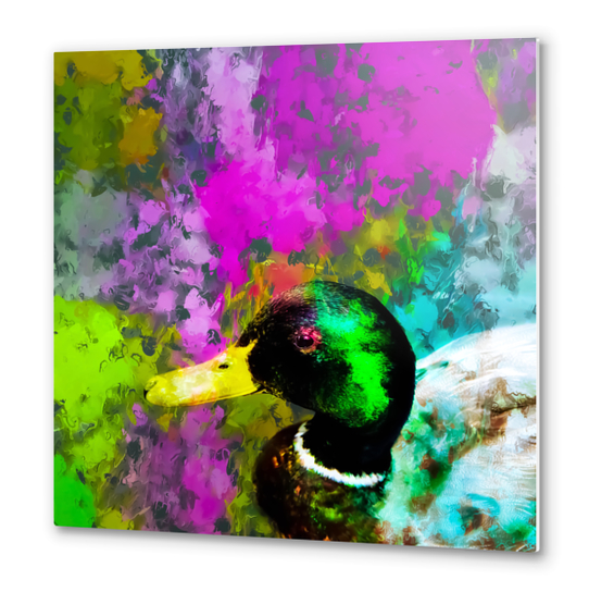 mallard duck with pink blue green yellow painting abstract background Metal prints by Timmy333