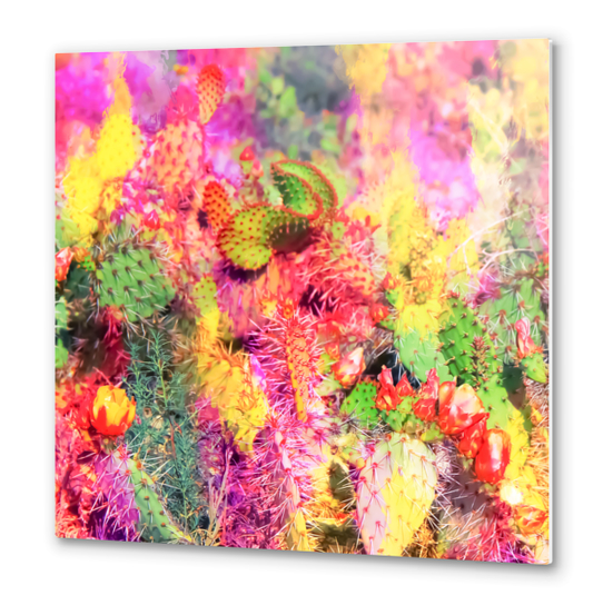 green cactus with flower in the desert with colorful painting abstract background  Metal prints by Timmy333