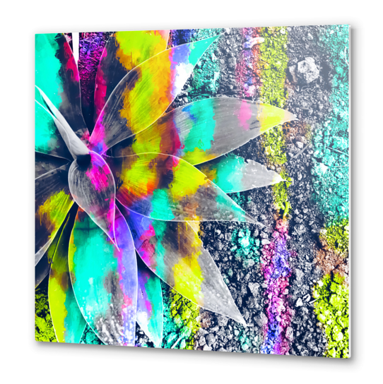 succulent plant with painting abstract background in green pink yellow purple Metal prints by Timmy333