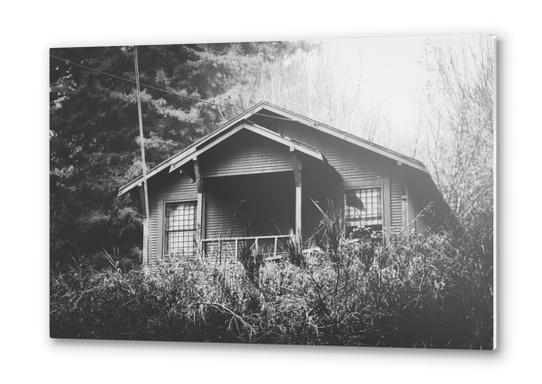 wooden house in the forest with rain in black and white Metal prints by Timmy333