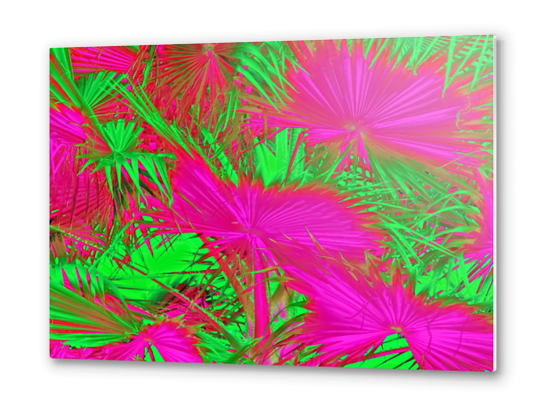 closeup palm leaf texture abstract background in pink and green Metal prints by Timmy333