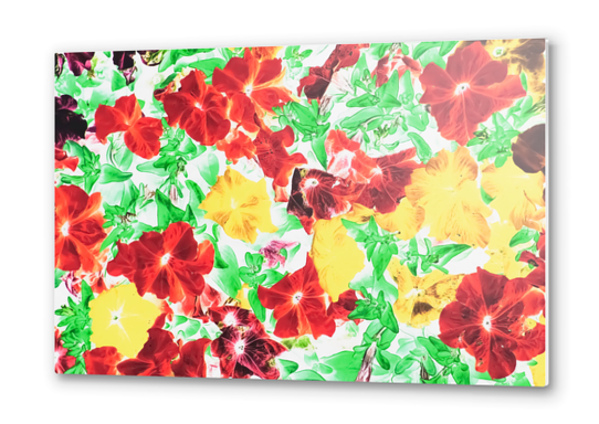 red flower and yellow flower with green leaf abstract background Metal prints by Timmy333