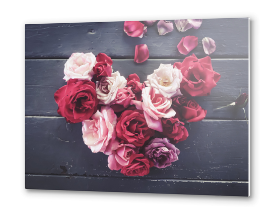 red and pink rose in the heart shape  Metal prints by Timmy333