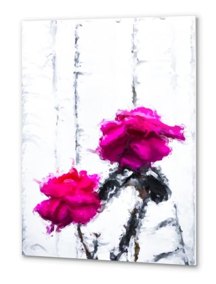 red roses with white wood background Metal prints by Timmy333