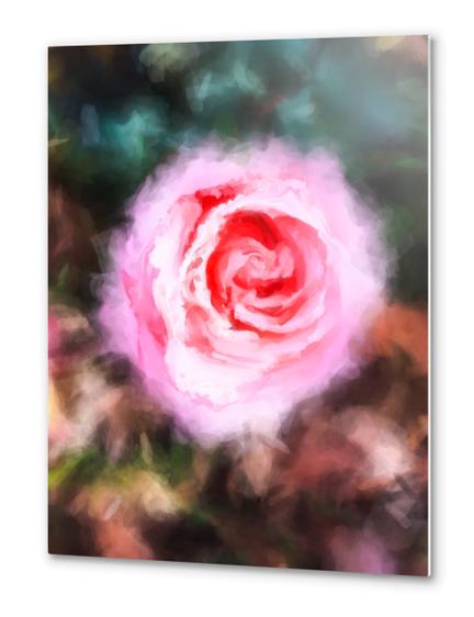 pink rose with green and brown background Metal prints by Timmy333