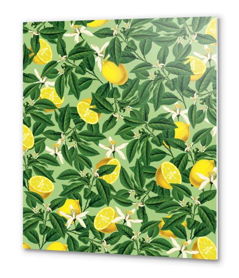 Lemonade V2 Metal prints by Uma Gokhale