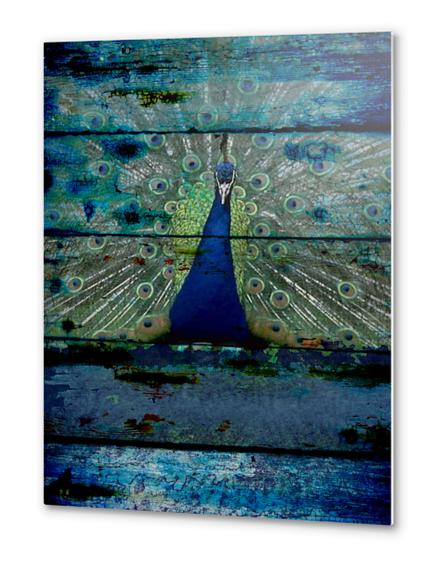 Peacock III Metal prints by Irena Orlov