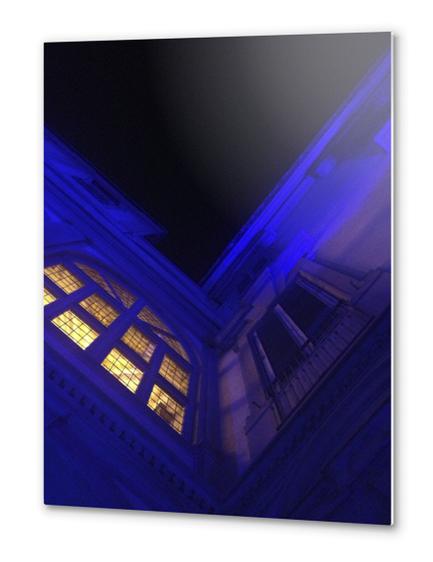 Palazzo Corsini Metal prints by Ivailo K