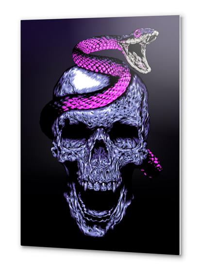 Skull and Snake Metal prints by Jordygraph