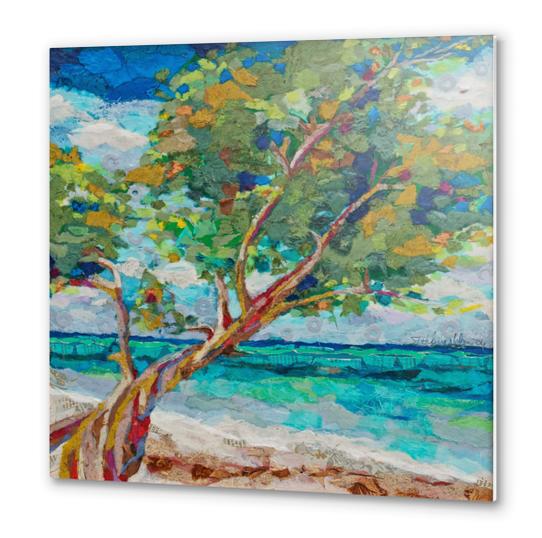 Beach Tree II Metal prints by Elizabeth St. Hilaire