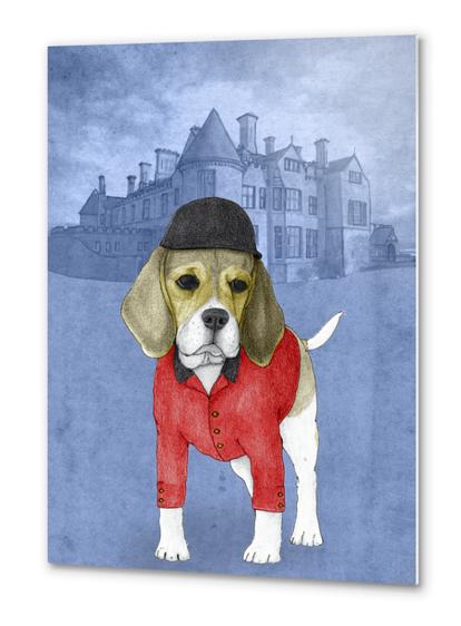 Beagle Metal prints by Barruf