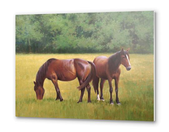 Horses Metal prints by Jose Higuera