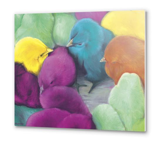 Chicks III Metal prints by di-tommaso