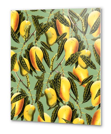 Mango Season Metal prints by Uma Gokhale