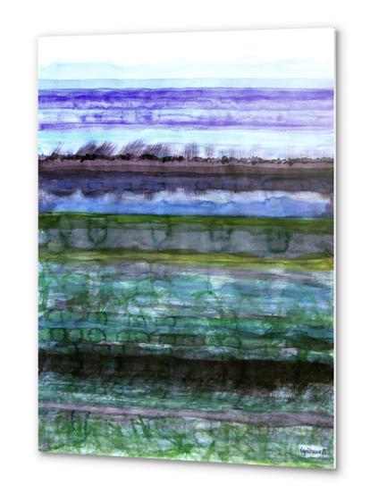 Wetland  Metal prints by Heidi Capitaine