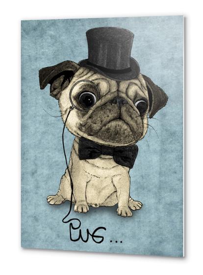 Pug; Gentle Pug Metal prints by Barruf