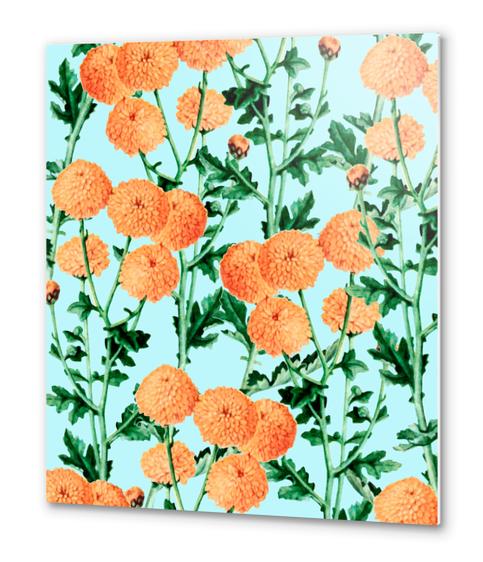 Summer Bloom Metal prints by Uma Gokhale