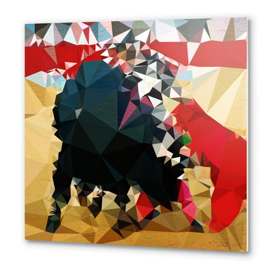 Toro! Metal prints by Vic Storia