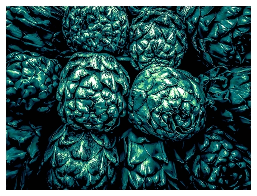 closeup green artichoke texture background Art Print by Timmy333