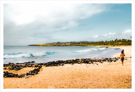 beach with blue wave and blue sky at Kauai, Hawaii, USA Art Print by Timmy333