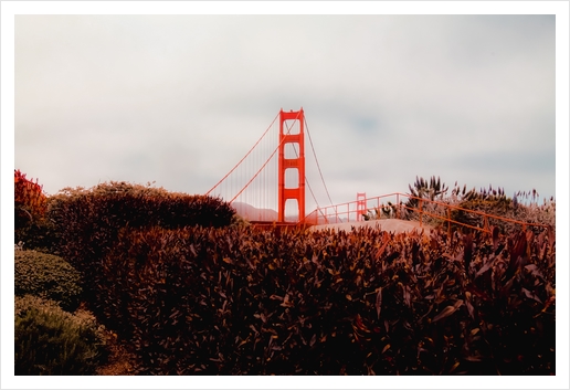 Golden Gate Bridge San francisco USA with cloudy sky Art Print by Timmy333