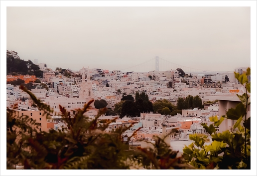 Buildings in the city at San Francisco California USA Art Print by Timmy333