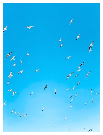 flying birds over the blue sky Art Print by Timmy333