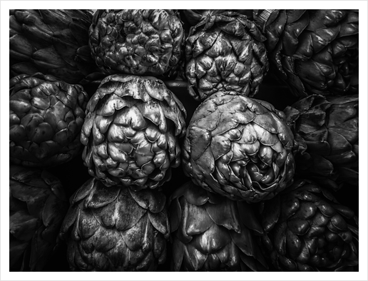 closeup artichoke texture background in black and white Art Print by Timmy333