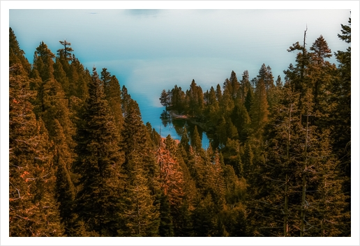 pine tree and lake at Emerald Bay Lake Tahoe California USA Art Print by Timmy333