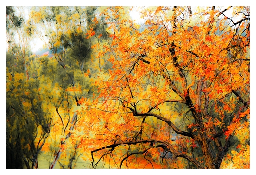 tree branch with autumn leaves and green tree background Art Print by Timmy333