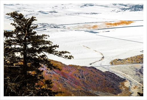 wind turbine in desert view from the mountain at Palm Springs, California, USA Art Print by Timmy333