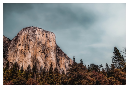 mountain and pine tree at Yosemite national park California USA Art Print by Timmy333