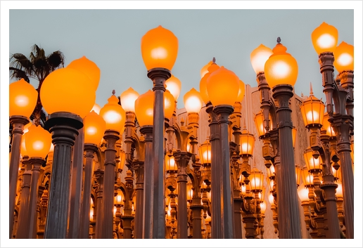 Urban Light at LACMA Los Angeles California USA Art Print by Timmy333